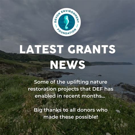 Devon Environment Foundation .